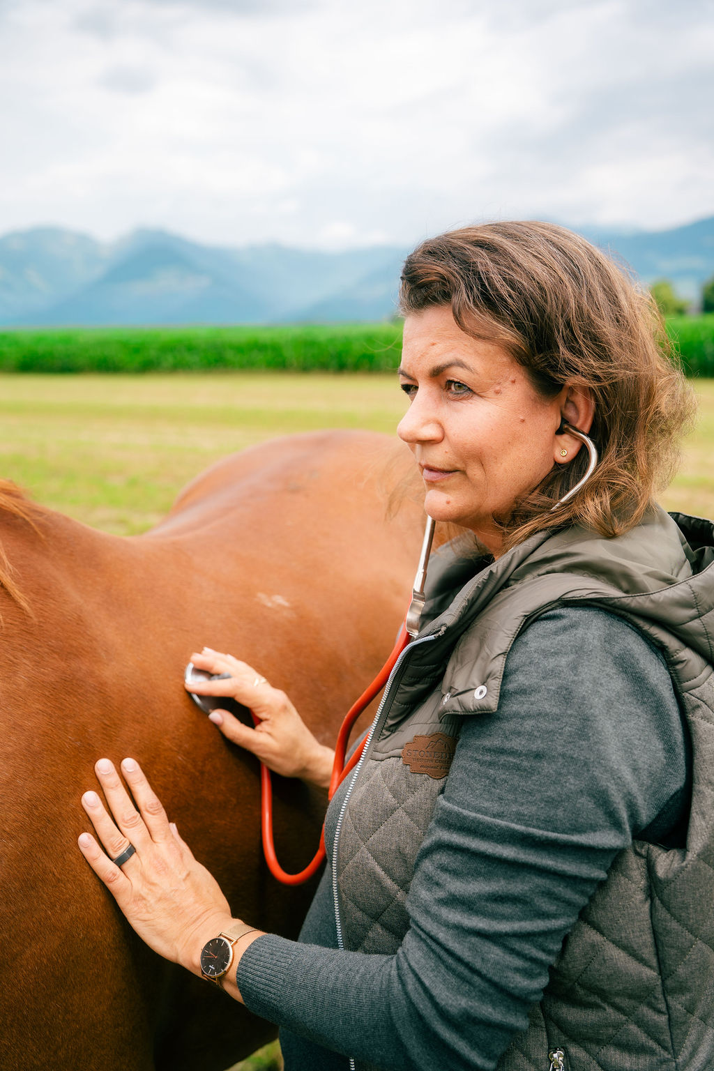 Dr. med. vet. Astrid Reitz bei der Untersuchung eines Pferdes