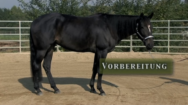 Video-Lektion Vorbereitung